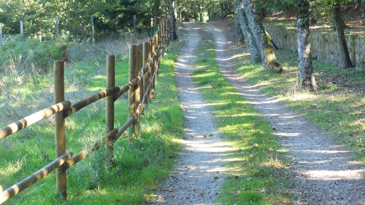 Quinta Do Caritel Villa Vouzela Kültér fotó